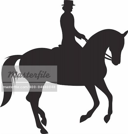 horse silhouette isolated on white background. Vector illustration