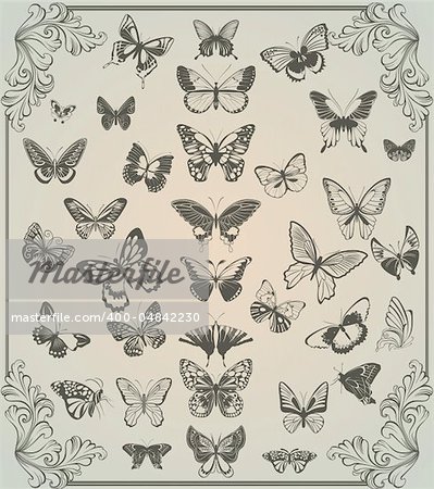 vintage stylized set of butterflies