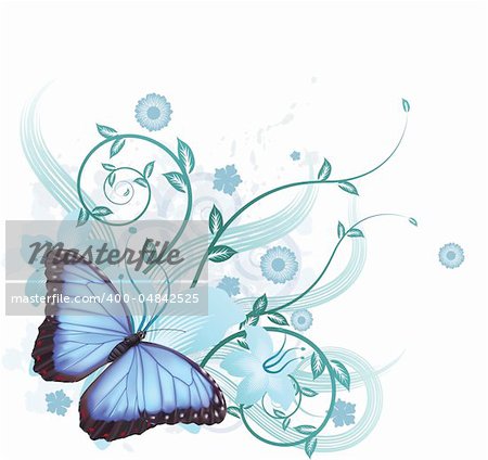 Beautiful floral background featuring hibiscus flowers and blue Morpho Peleides butterfly