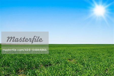 beautiful landscape, green grass, blue sky