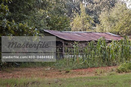 Old rusted corn shack falling apart