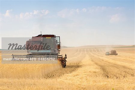 grain harvester combine work in field