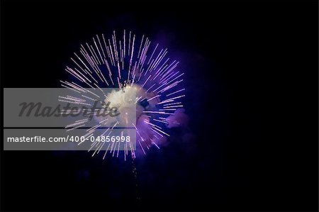 A burst of purple fireworks against a night sky.