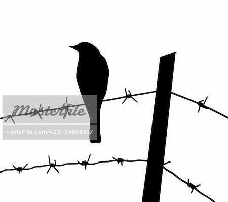 vector silhouette of the bird on barbed wire