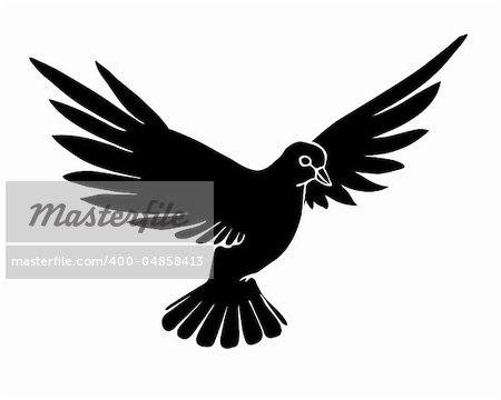vector silhouette dove on white background