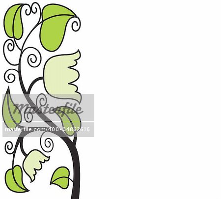 ornament of leaves and flowers on a white background