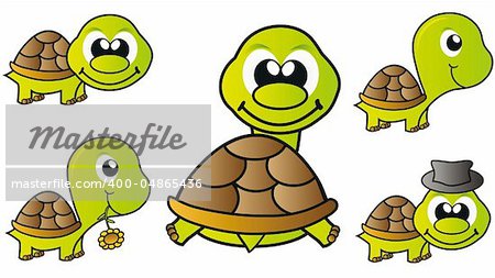 set of little happy turtles isolated over white background