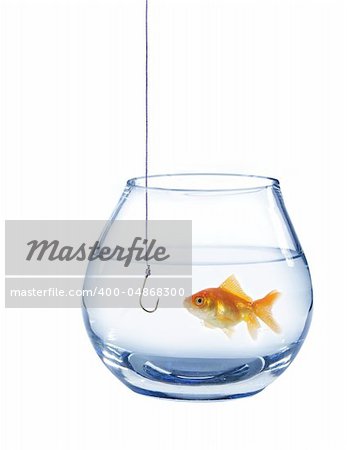 gold fish and empty hook on white background