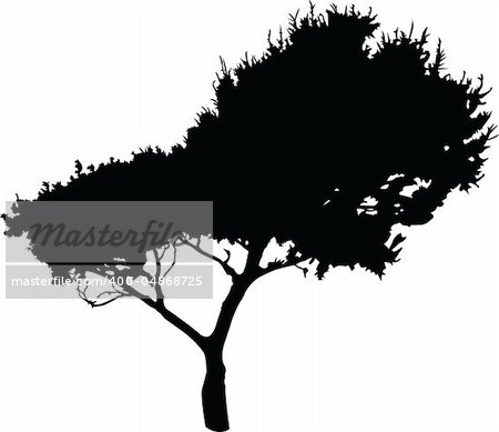illustration of tree - vector
