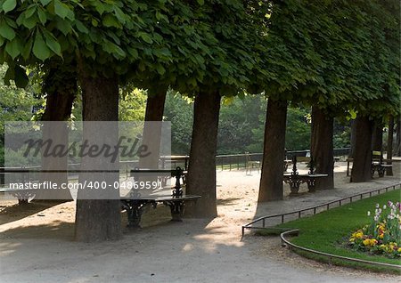 Lonely benches in the park