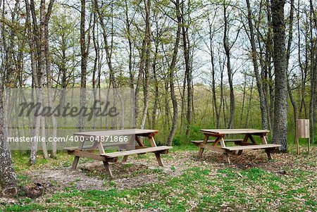 Picnic area in woodland with benches and tables