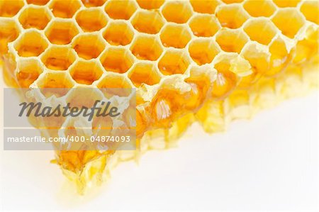 Honeycomb isolated on white