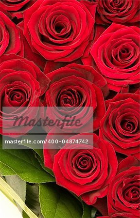 bouquet of roses, red roses