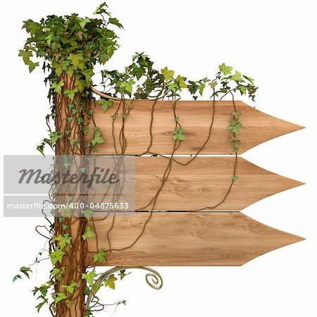 wooden signpost with ivy. isolated on white. with clipping path.