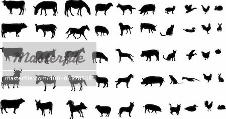 collection of farm animals silhouettes - vector