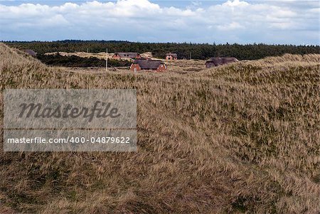 Grass dune and sommerhouses all with thatched roofs and flagpoles.