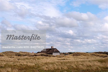 Sommerhouse and Danish flag in the dune a summer day.