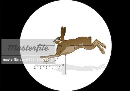 Running hare in the grid optical sight hunting rifles