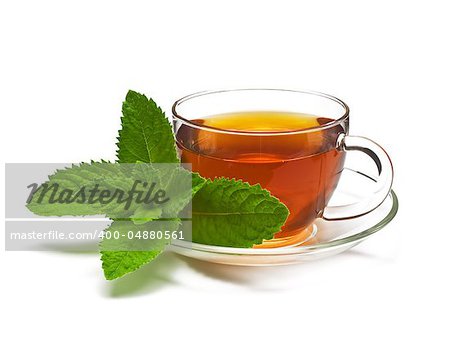 Cup tea with mint isolated on a white background.