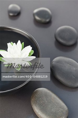 Close up of a white flower floating in a black bowl surrounded by black pebbles