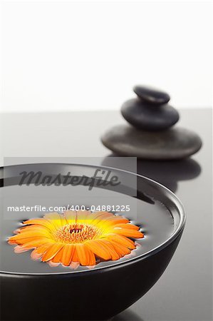 Orange gerbera floating on a black bowl and a stack of black pebbles