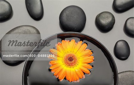 Orange gerbera floating in a bowl surrounded by black pebbles