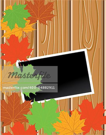 Vector illustration of wooden background with blank photo and leaves