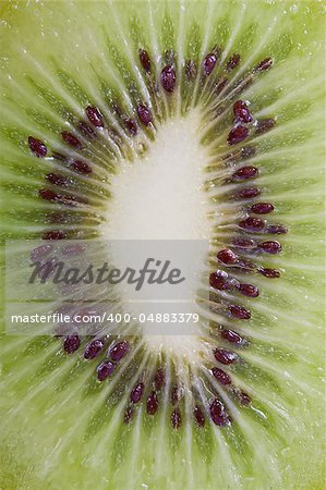 Ripe green kiwi fruit background with high detail