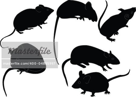 mouse collection - vector