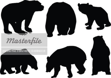 bears collection silhouette - vector