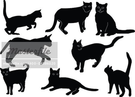 cat collection -vector