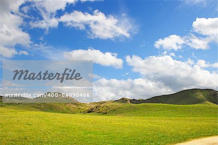 meadow with  mountain landscape