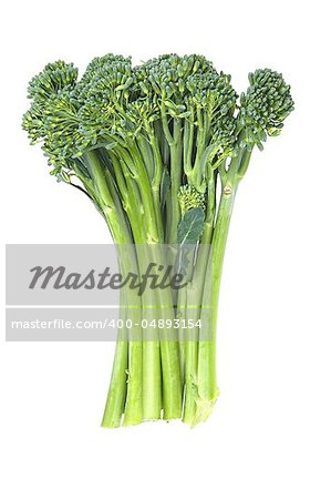 sprouts baby broccoli cabbage isolated on White Background
