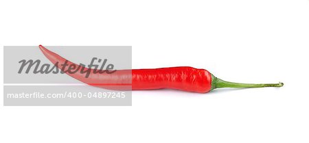 Red hot chili pepper on white background