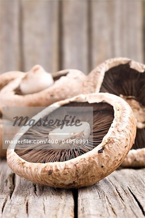 Healthy fresh mushrooms with very shallow depth of field