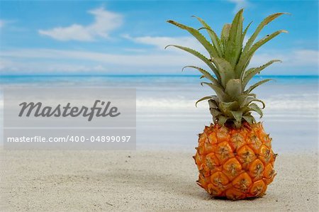 Pineapple on an exotic beach with blue and cloudy sky.