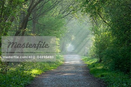 Countryside track and sunbeams during English springtime