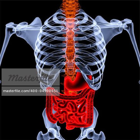 human skeleton under the X-rays. isolated on black.