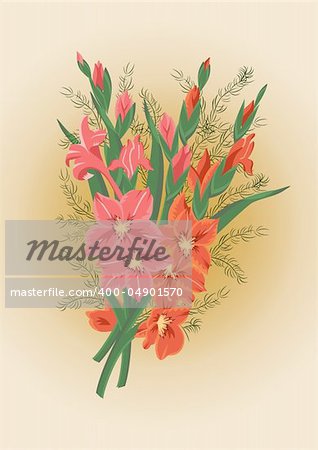 Illustration of bouquet of pink and red gladiolas