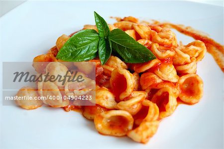 Orecchiette Pasta with Tomato sauce and basil , typical Italian pasta