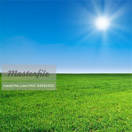 beautiful landscape, green grass, blue sky