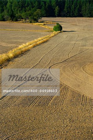 Plowed field seen from a high angle view