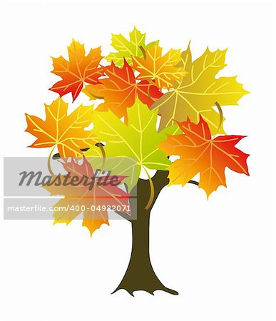 abstract colorful maple tree. Isolation over white background.