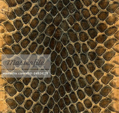 Snake skin leather texture on a wallet