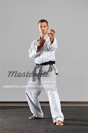 An image of a martial arts master