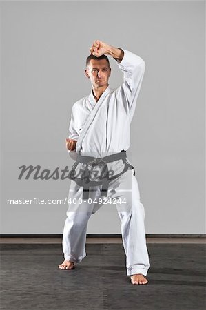 An image of a martial arts master