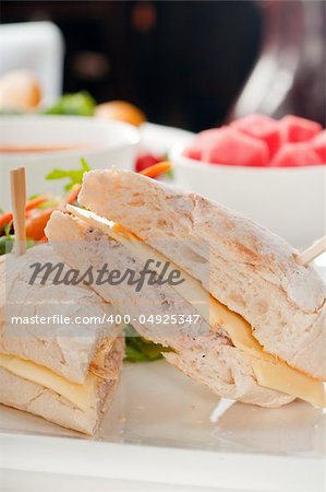 tuna fish and cheese sandwich with fresh mixed salad ,watermelon and gazpacho soup on side,with fresh vegetables on background