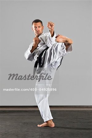 An image of a martial arts master