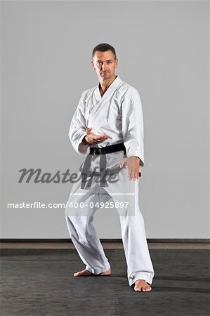 An image of a martial arts master