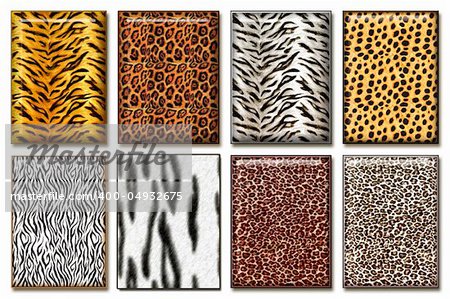 Eight wild African animal skin texture collections